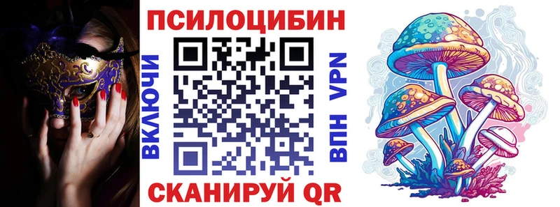 дарнет шоп  Аргун  Галлюциногенные грибы Cubensis 